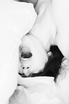 Onlyfans Leaked Photos - Theviolettevixen - Photos