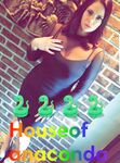 Onlyfans Leaked Photos - Anacondanoire - Photos
