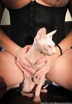 Onlyfans Leaked Photos - Banshee4You - Photos