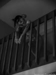 Onlyfans Leaked Photos - Elfiebrains - Photos