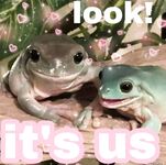 Onlyfans Leaked Photos - Froggggy - Photos