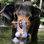 Onlyfans Leaked Photos - Greatnapdome2 - Photos