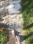 Onlyfans Leaked Photos - Adorable.Alice.Paws - Photos