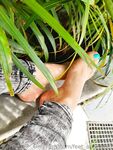 Onlyfans Leaked Photos - Feet Anaisabel - Photos Anaisabel Feet