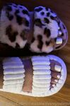 Onlyfans Leaked Photos - Itwasalwaysmysolesvip - Photos
