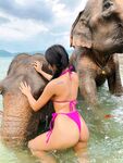 Onlyfans Leaked Photos - Praewasian - Photos