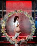 Onlyfans Leaked Photos - Sarawildeevip - Photos