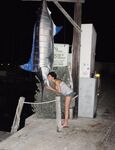 Homepornbay Amateur Photos - Amateur Wife Posing Nude At Vacation - At Photos Vacation Posing Wife Nude Amateur