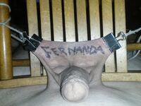 Homepornbay Amateur Photos - I Do What My Mistress Fernanda Orders Me To Do - Photos Orders My I Me To What Mistress Fernanda Do