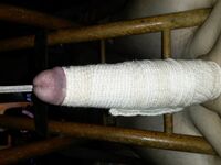 Homepornbay Amateur Photos - I Do What My Mistress Fernanda Orders Me To Do - Photos Orders My I Me To What Mistress Fernanda Do