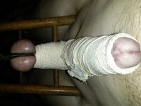 Homepornbay Amateur Photos - I Do What My Mistress Fernanda Orders Me To Do - Photos Orders My I Me To What Mistress Fernanda Do