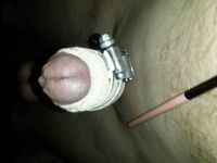 Homepornbay Amateur Photos - I Do What My Mistress Fernanda Orders Me To Do - Photos Orders My I Me To What Mistress Fernanda Do