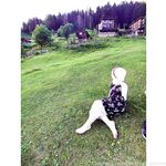 Onlyfans Leaked Photos - Queen-Salome - Photos