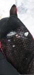 Onlyfans Leaked Photos - Queen-Salome - Photos
