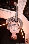Onlyfans Leaked Photos - Elleslovexoxo - Photos