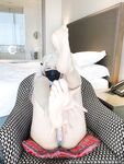 Onlyfans Leaked Photos - Hinata2000 - Photos