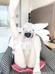 Onlyfans Leaked Photos - Hinata2000 - Photos
