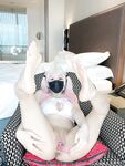 Onlyfans Leaked Photos - Hinata2000 - Photos