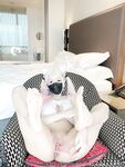 Onlyfans Leaked Photos - Hinata2000 - Photos