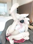 Onlyfans Leaked Photos - Hinata2000 - Photos