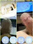 Onlyfans Leaked Photos - Macychanhk - Photos