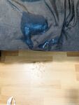 Onlyfans Leaked Photos - Lilspinnerbby-Photo-1947 - Photos