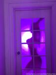 Onlyfans Leaked Photos - Wildwifebarbie-Photo-2908 - Photos