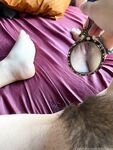 Onlyfans Leaked Photos - Lolahippy-Photo-963 - Photos