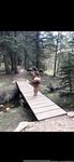 Onlyfans Leaked Photos - Lolahippy-Photo-963 - Photos