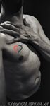 Onlyfans Leaked Photos - Freepetitebrida Photo - Amateur Photos Freepetitebrida