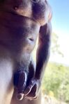 Onlyfans Leaked Photos - Tombstone72 Photo - Tombstone72 Amateur Photos