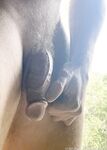 Onlyfans Leaked Photos - Tombstone72 Photo - Tombstone72 Amateur Photos
