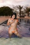 Onlyfans Leaked Photos - Bellatorres_Official Photo - Amateur Photos Bellatorres_Official