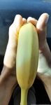 Onlyfans Leaked Photos - Jadezfeetplus Photo - Jadezfeetplus Amateur Photos