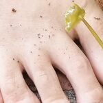 Onlyfans Leaked Photos - Jadezfeetplus Photo - Jadezfeetplus Amateur Photos