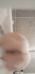 Onlyfans Leaked Photos - Alexxxuncensoredx Photo - Amateur Alexxxuncensoredx Photos