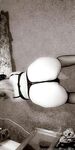 Onlyfans Leaked Photos - Alexxxuncensoredx Photo - Amateur Alexxxuncensoredx Photos