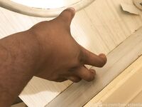 Onlyfans Leaked Photos - Brocksteelix Photo - Amateur Photos Brocksteelix