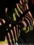 Onlyfans Leaked Photos - Cheryl_Bloss_ Photo - Amateur Photos Cheryl_Bloss_
