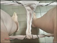 Onlyfans Leaked Photos - Dirtypanties Photo - Amateur Photos Dirtypanties