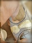 Onlyfans Leaked Photos - Dirtypanties Photo - Amateur Photos Dirtypanties