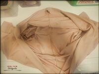 Onlyfans Leaked Photos - Dirtypanties Photo - Amateur Photos Dirtypanties