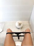Onlyfans Leaked Photos - Gloriasol Photo - Amateur Photos Gloriasol