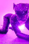 Onlyfans Leaked Photos - Sarahfergusonxxx Photo - Amateur Photos Sarahfergusonxxx