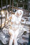 Asian - Qiuhekeji 110 Wax Play - Photos 110 Play Wax Qiuhekeji Chinese