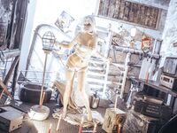 Asian - Qiuhekeji 110 Wax Play - Photos 110 Play Wax Qiuhekeji Chinese