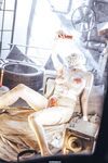 Asian - Qiuhekeji 110 Wax Play - Photos 110 Play Wax Qiuhekeji Chinese