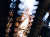Asian - Qiuhekeji 110 Wax Play - Photos 110 Play Wax Qiuhekeji Chinese