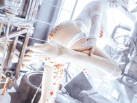 Asian - Qiuhekeji 110 Wax Play - Photos 110 Play Wax Qiuhekeji Chinese