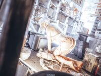 Asian - Qiuhekeji 110 Wax Play - Photos 110 Play Wax Qiuhekeji Chinese